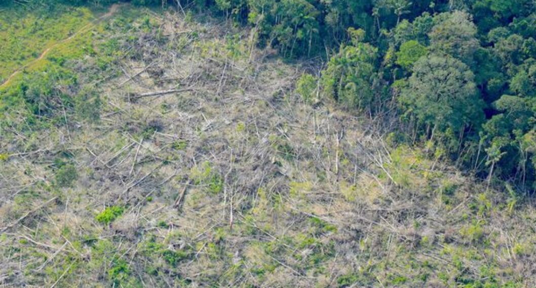 Récord de deforestación en la Amazonía brasileña
