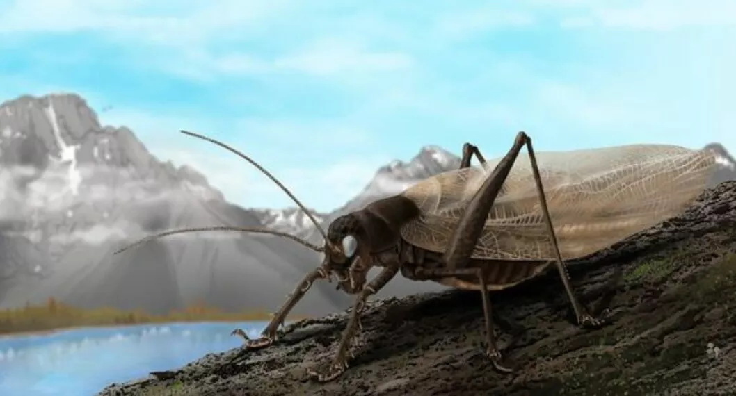 Este insecto fue visto por última vez en 1869, pero ha vuelto “cantar”