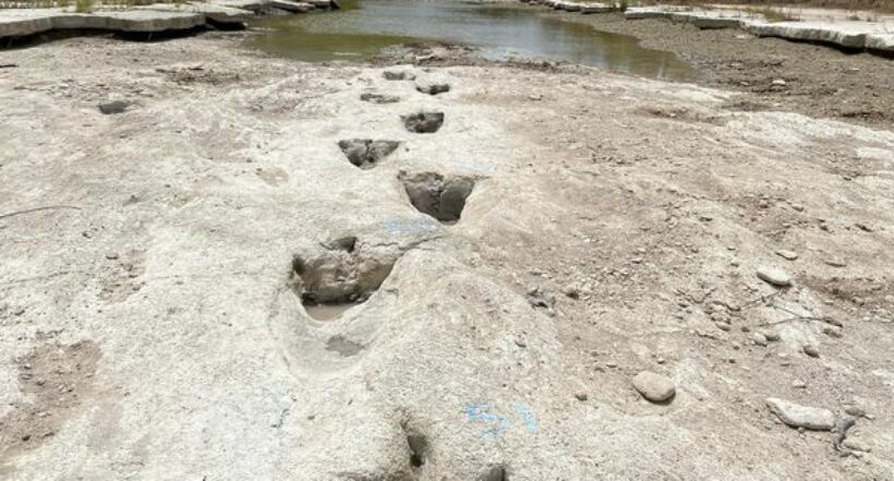 Video: las huellas de dinosaurio que encontraron en Texas luego de que se secara un río