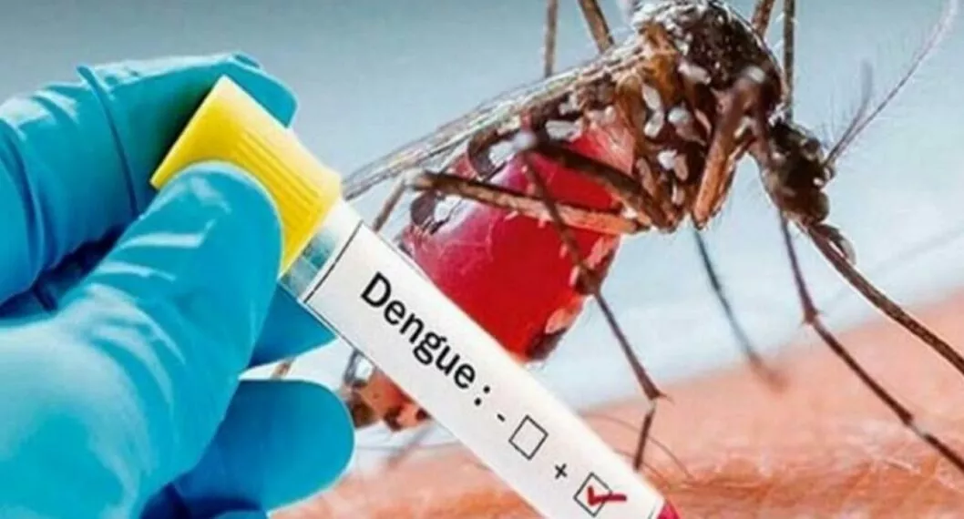 El Cesar, uno de los departamentos del país con más casos de dengue 