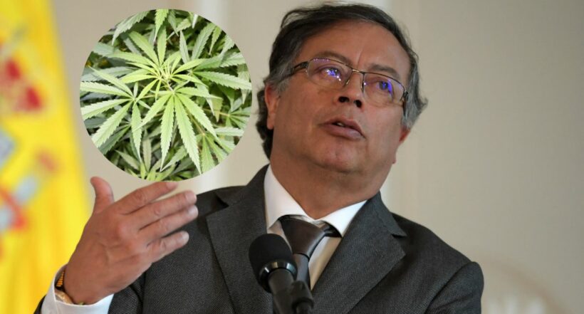 La gobernadora del Valle, Clara Luz Roldán, le pidió al presidente Gustavo Petro que legalice la marihuana en Colombia.