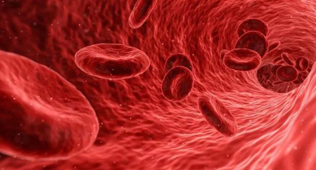 Jugos para la anemia: Estas opciones te ayudarán a mejorar los síntomas