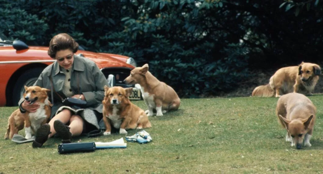 Reina Isabel II con perros ilustra nota sobre su amor por esos animales y cuánto cuestan las razas que tuvo