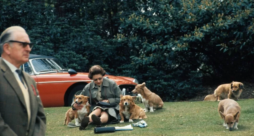 Reina Isabel II con perros ilustra nota sobre su amor por esos animales y cuánto cuestan las razas que tuvo