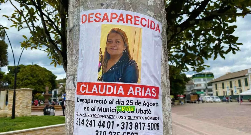 Claudia Arias desapareció el 25 de agosto de 2022, cuando fue vista -y se supo de ella- por última vez. La mujer llegó ese día al municipio de Ubaté.