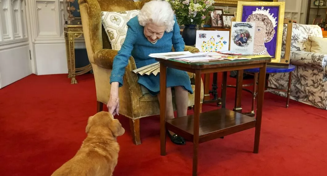 Quién adoptó a los perros de la reina Isabel II luego de su muerte