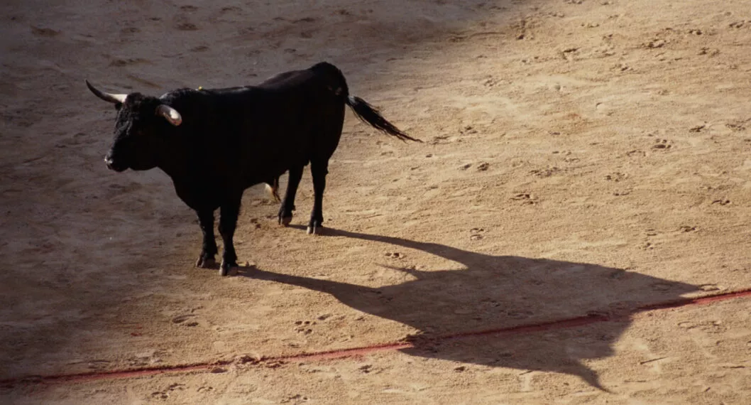 Foto de referencia, a propósito del toro que mató a un señor en España.