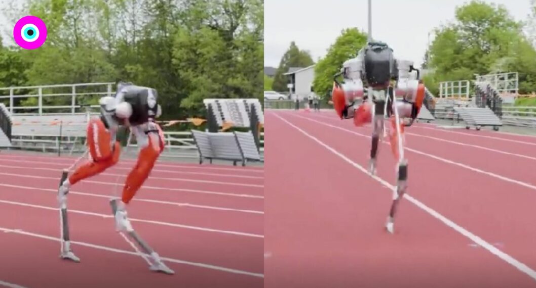 Imagen de Cassie, un robot bípedo que superó a los humanos y batió récord Guinness