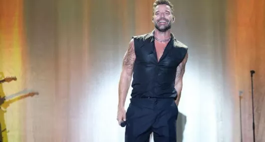 Foto del cantante Ricky Martin, en un concierto.