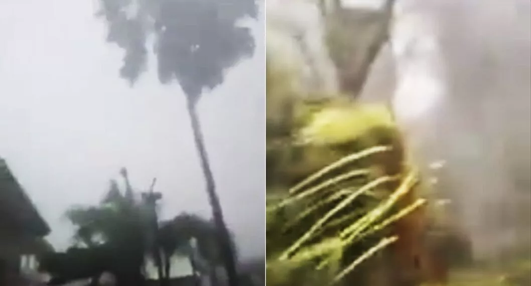 Tormenta 'Julia' llegando a San Andrés con fuertes vientos; hay daños