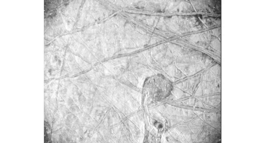 La imagen en alta resolución de una de las lunas de Júpiter que tomó la misión Juno