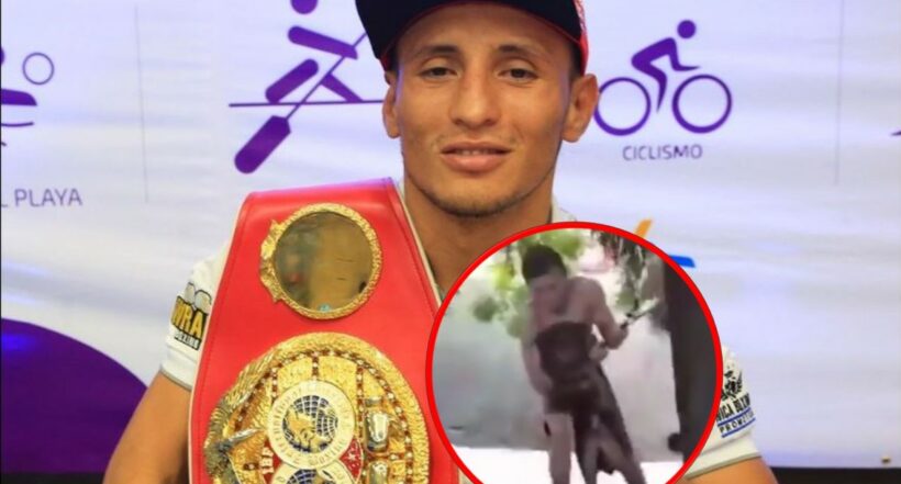 El excampéon mundial de boxeo, Félix Alvarado, arriesgó su vida para rescatar a un perro dentro de un cauce fluvial durante el huracán Julia. 