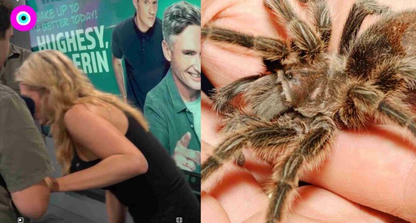Imagen del caso donde por fobia a las arañas presentadora casi se desmaya en programa en vivo