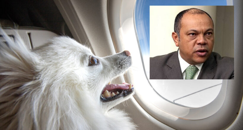 Video Luis Colmenares en Avianca quejándose por perro en un vuelo