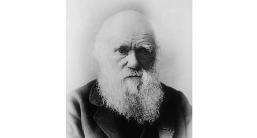 El manuscrito de Charles Darwin que será subastado y que puede costar 800.000 euros