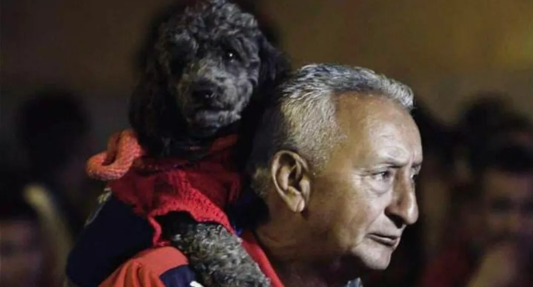 Imagen del hincha de Independiente Medellín, a propósito que murió Medallo, perro hincha del DIM que iba al estadio