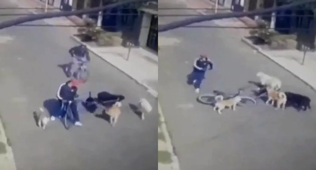Un paseador de perros esquivó tres disparos de un ladrón que quería robarlo en el barrio Mandalay, sur de Bogotá.