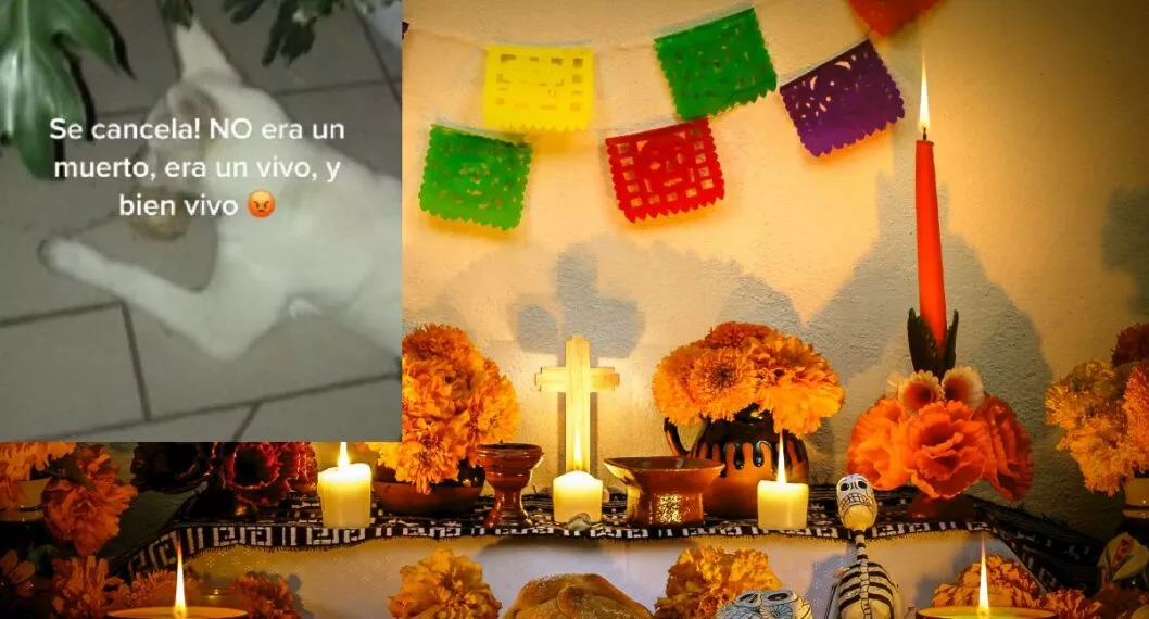 Foto de altar de Día de Muertos a propósito de un perro en México que se comió ofrendas