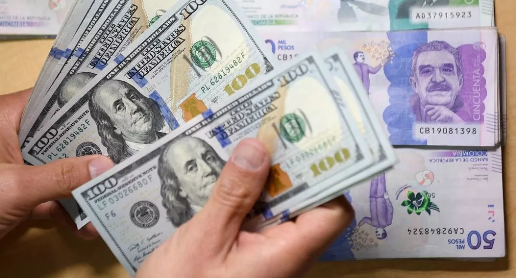 Imagen de dólares ilustra el artículo Dólar hoy: la semana empieza con nueva trepada de la divisa
