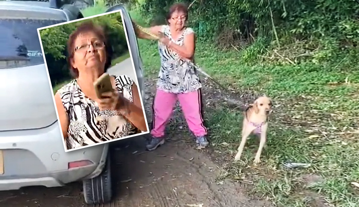 Mujer que arrastra a perro con carro y amenaza con llamar a su "papá y mamá"