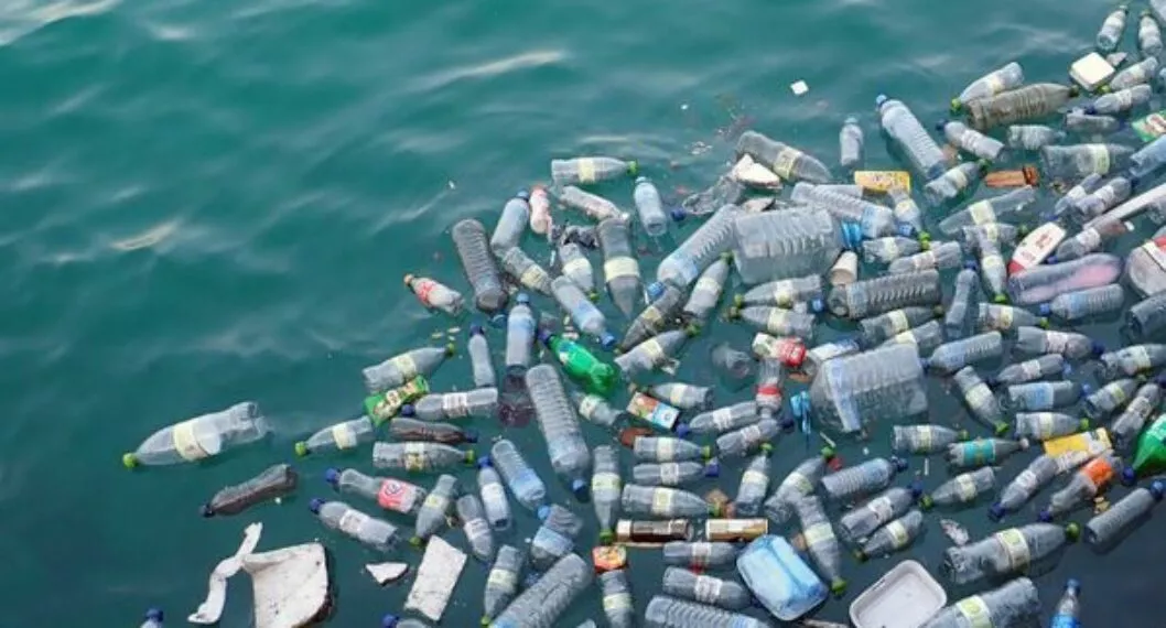 Imagen del agua con basura por dispositivo que está matando seres vivos