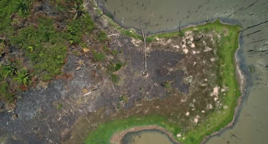 La sequía no sería la responsable de la mayoría de los incendios en la Amazonía