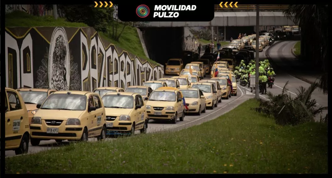 Taxis, por pico y placa en Cúcuta