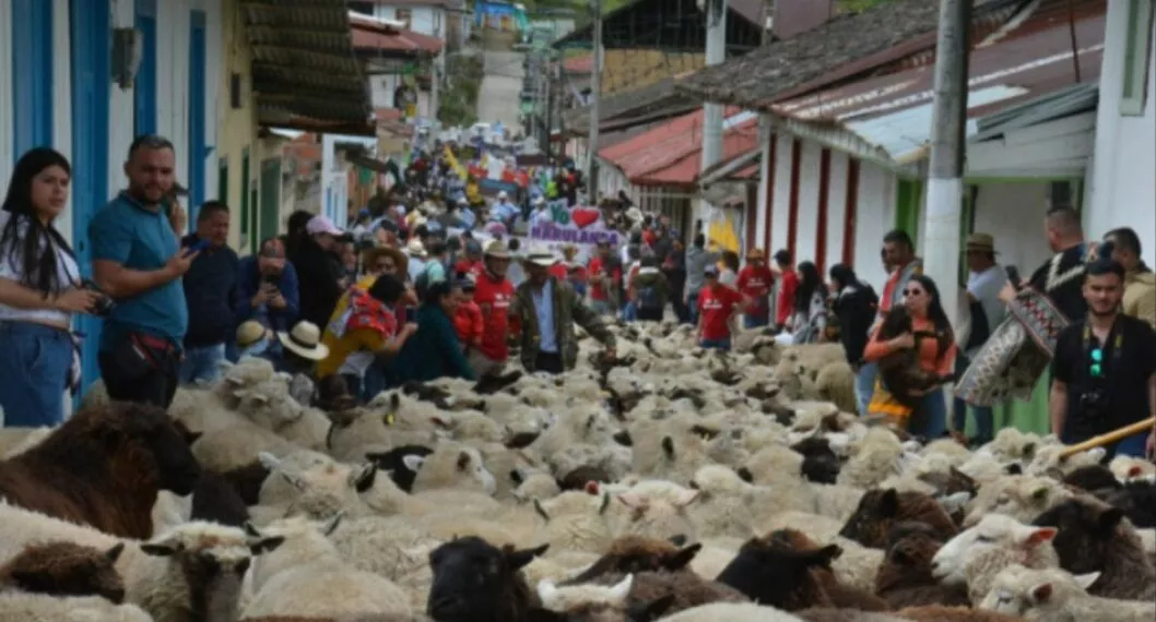 Imagen de las ovejas que se tomaron pueblo en Caldas