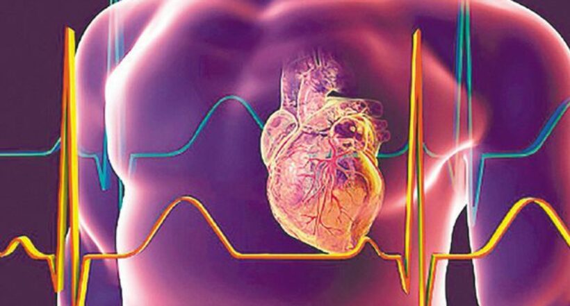 Enfermedades cardiometabólicas: ¿Qué son y qué las causa?