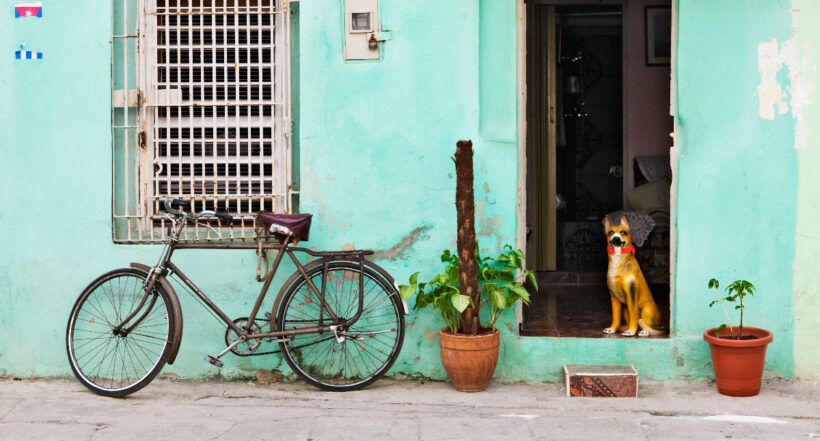 Un hombre murió de un infarto por un grupo de perros que se le acercaron a ladrarse cuando iba montando en bicicleta. 