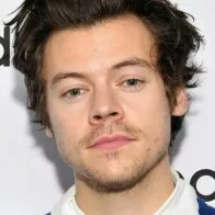 Harry Styles, cantante británico.