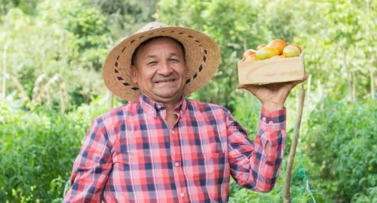 Beneficios económicos a agricultores colombianos