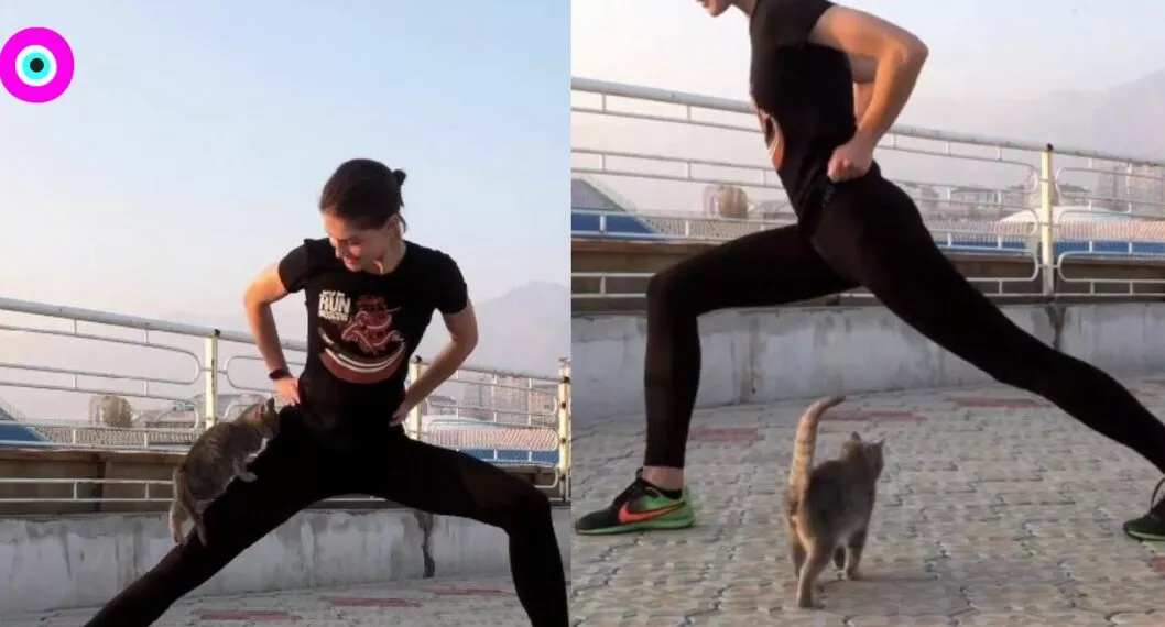 Mujer hacia rutina de yoga y termino con un gato de alumno y se viralizó