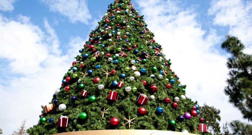 Horizontal image of a big Christmas tree outdoors
