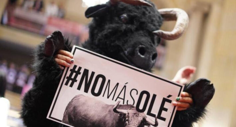 Senado aprobó la ley que prohibe las corridas de toros en Colombia. 50 de los 54 senadores votaron a favor y aprobaron en segundo debate el proyecto. 