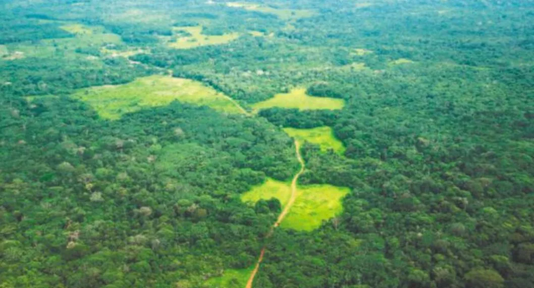 Las pruebas de la Fiscalía contra tres alcaldes por atravesar una vía ilegal en la Amazonia