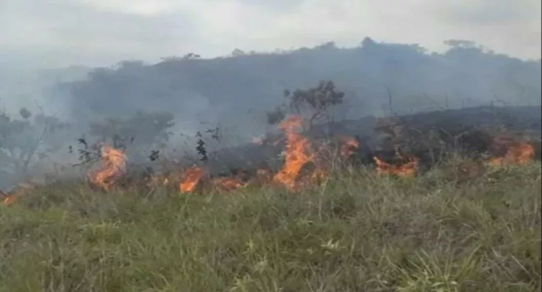 Incendio causa pánico en el Tolima al consumir 80 hectáreas (video)