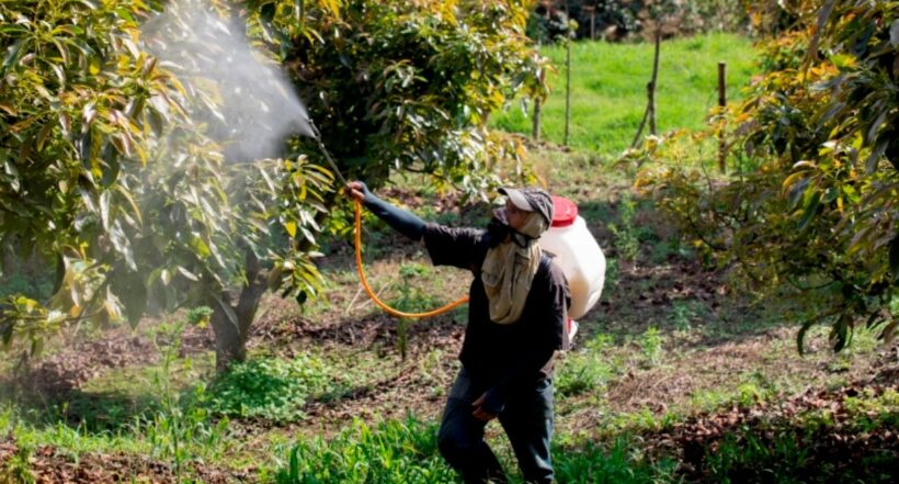 Gobierno extendió plazo para la inscripción de pequeños agricultores al Fondo de Acceso a Insumos Agropecuarios.