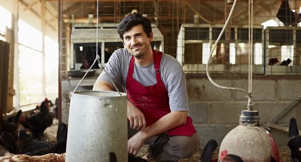 Trabajo en Canadá: hombre dice que vende pollo y gana más que ingeniero