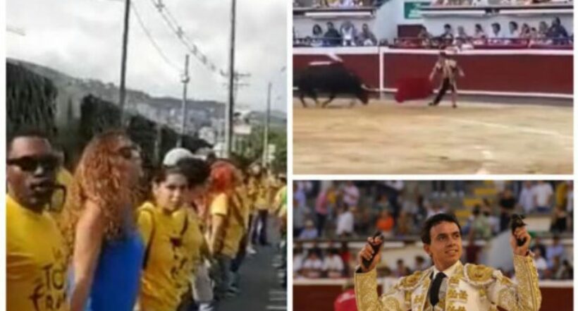 Imágenes de lo que fue la corrida de toros privada que se llevó a cabo en el marco de la Feria de Cali: tuvo poca asistencia.