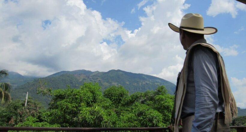 “La cosecha de café no estuvo muy buena pero el precio ayudó mucho”: agricultores del Cesar