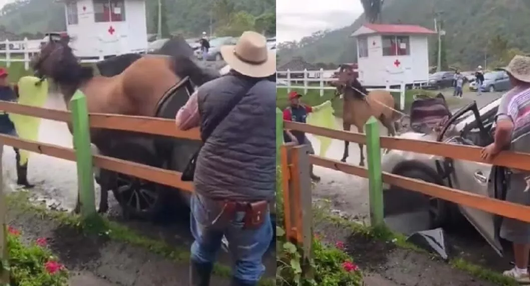 Foto captura de pantalla caballo que golpeó carro de turista en Valle del Cocora