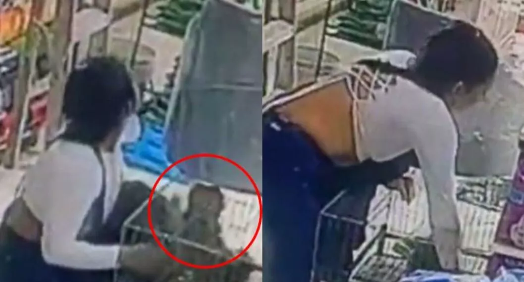 Mujer se robó a un cachorro de una veterinaria en Ibagué y se hizo viral