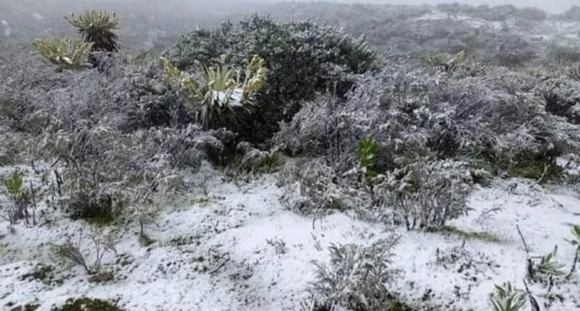 Nuevamente, cayó nieve en el Sumapaz, al sur de Bogotá