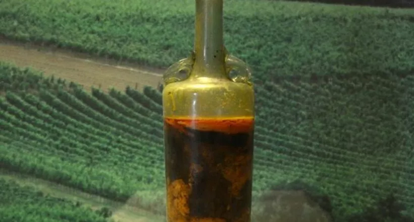 Botella de vino de 1.700 años, la más antigua del mundo, podría ser segura para beber