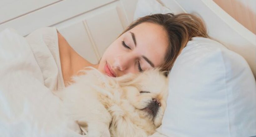 Pros y contras de dormir al lado de las mascotas