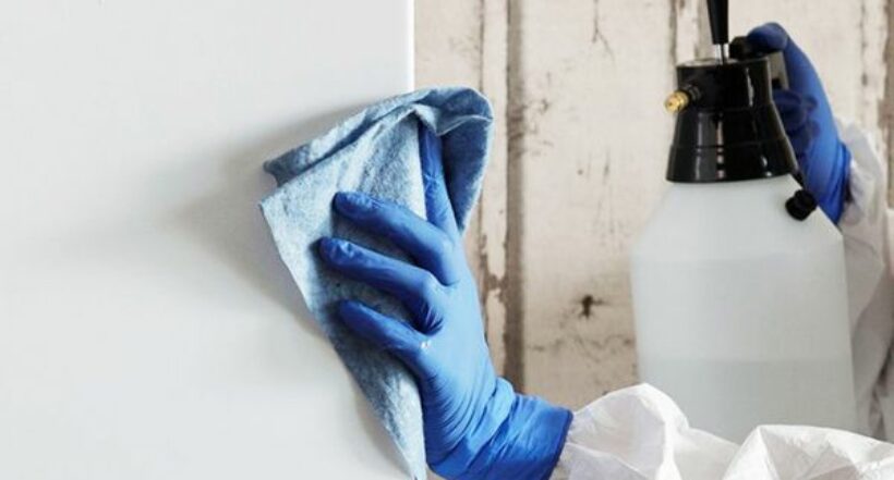 ¿Cómo limpiar las paredes blancas de tu casa sin tener que volver a pintar? 