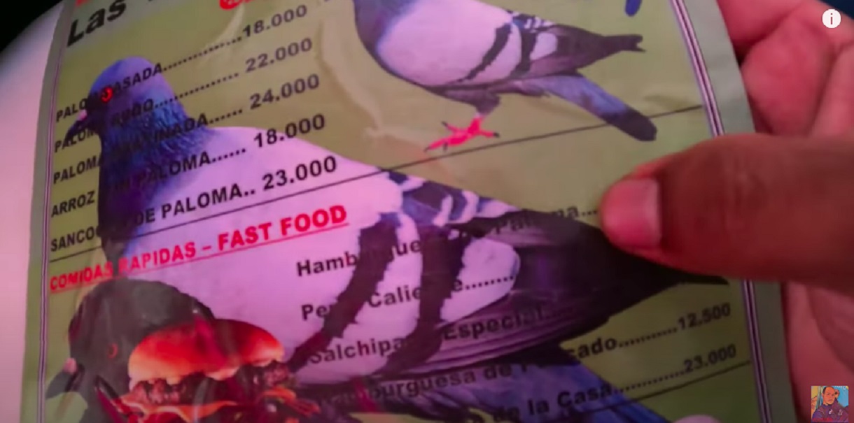 Descubren restaurante que vende paloma asada en el sur de Bogotá