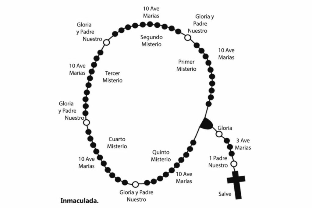 Portal web de Obras Misionales Pontificias de Colombia.
