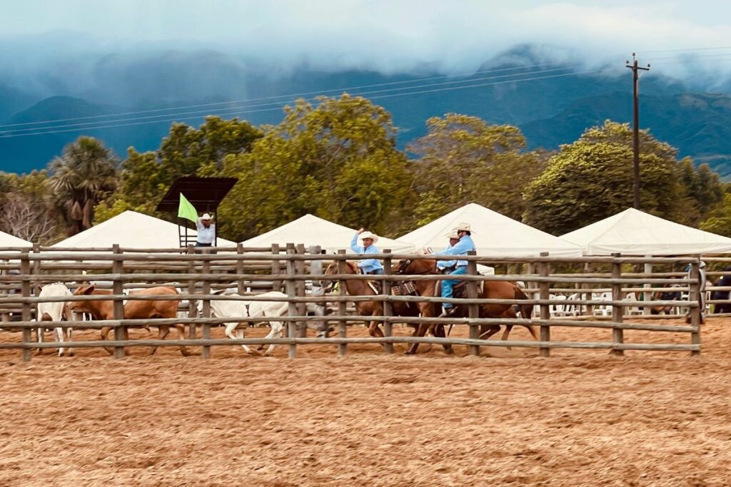 1ra Copa ‘Ecoflora - El Morichal de team penning’